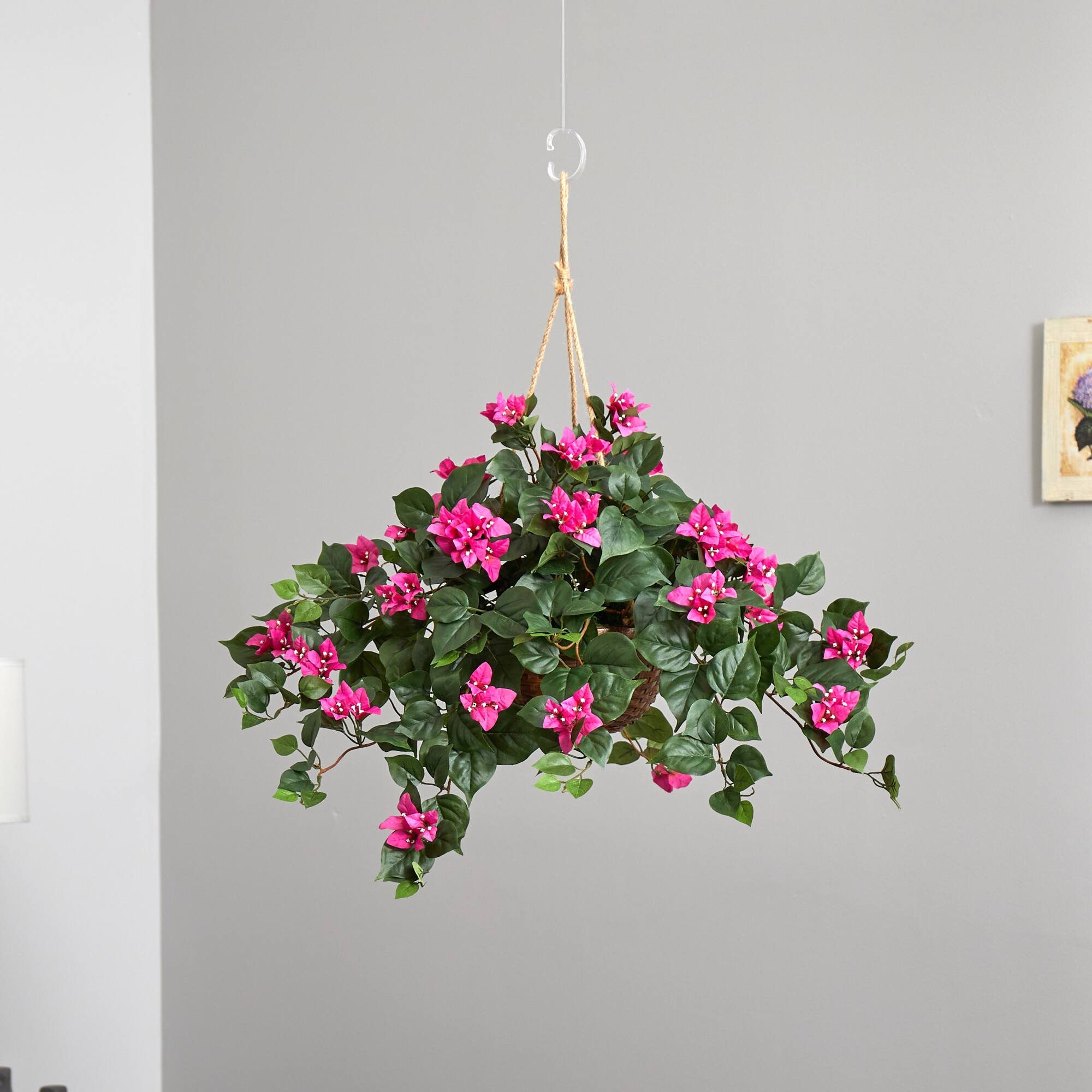 24" Pink Bougainvillea Hanging Basket